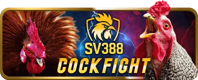 Tải và cài đặt bom88 app